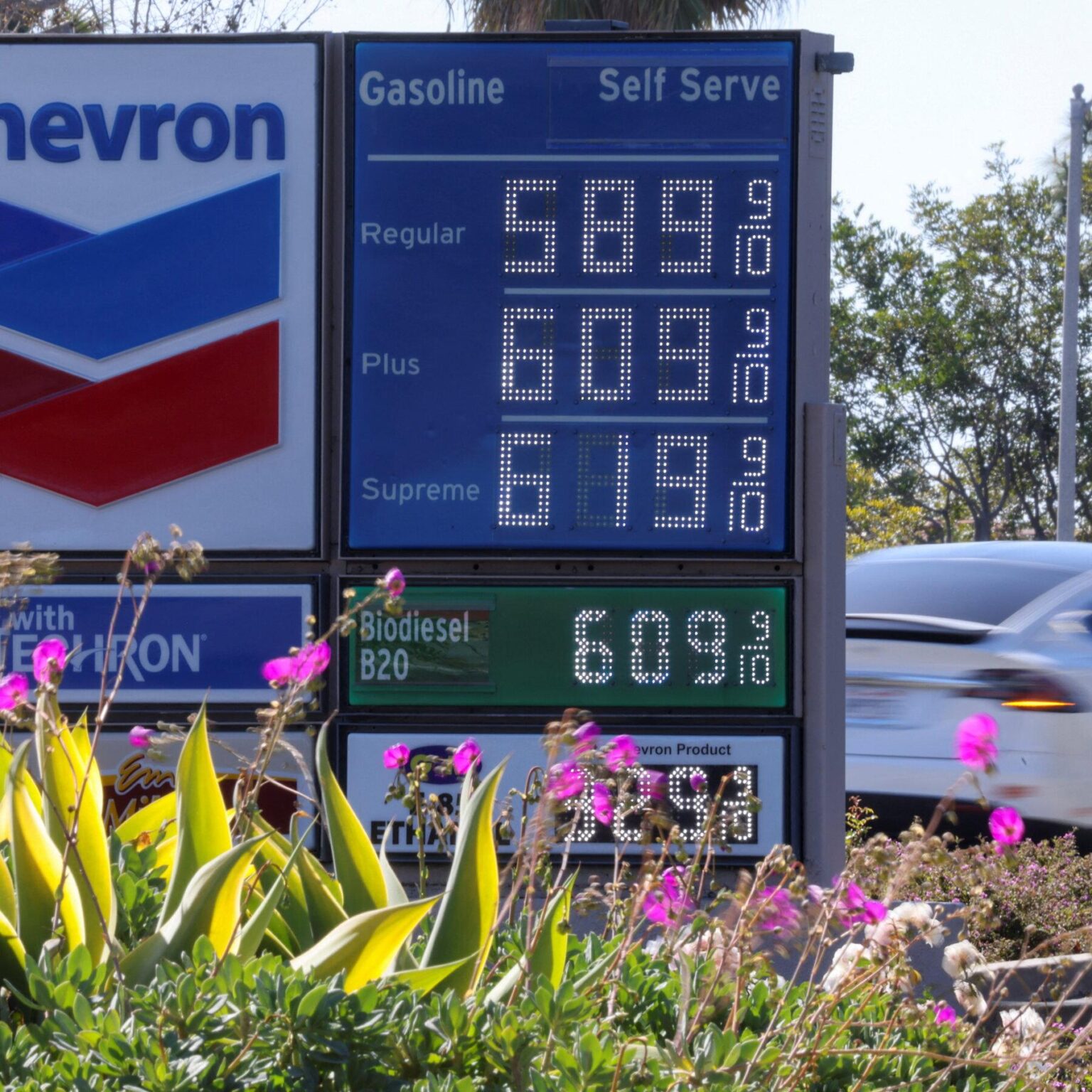 New York gas prices slightly declined from last week: See how much here – Times Herald-Record