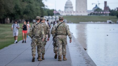 Crime Festers in Republican States While Their Troops Patrol Washington – The New York Times