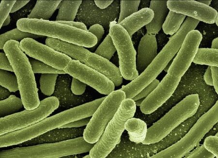 Cyclospora outbreak in the US update – Outbreak News Today