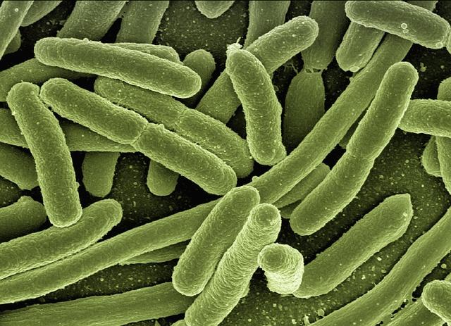 Breaking News: New Developments in the US Cyclospora Outbreak Cyclospora outbreak in the US update – Outbreak News Today